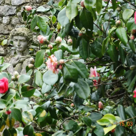 Bed and breakfast Particulier 