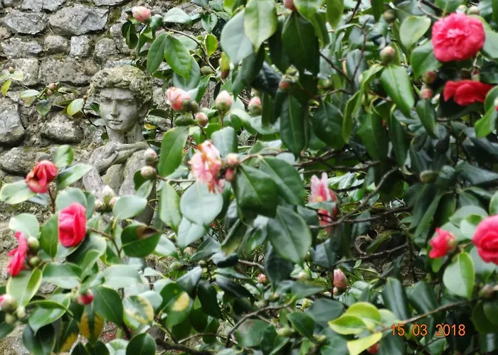 לינה וארוחת בוקר Particulier 